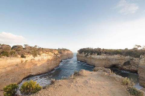 PRIVATE Great Ocean Road Tour And 12 Apostles With Wildlife Spotting - Rental Cars 1