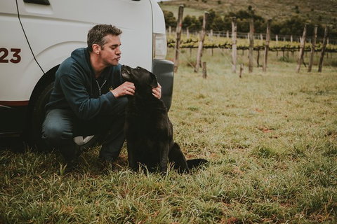 Daylesford Private, Corporate, Group Wine Tours: Wine, Cider, Gin, Vodka, Port! - Rental Cars 3