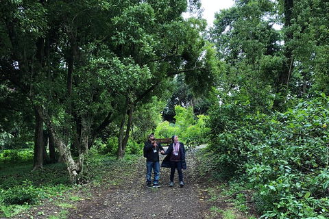 Alices Journeys Guided Walking Tours Of Daylesford - Rental Cars 5