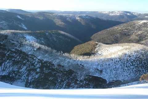 Alpine Ultimate Snow Trip - Rental Cars 2