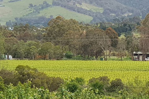 Day Tour Of Yarra Valley Puffing Billy And Rayners Orchard - Rental Cars 44