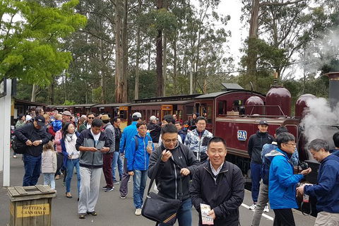 Day Tour Of Yarra Valley Puffing Billy And Rayners Orchard - Rental Cars 3