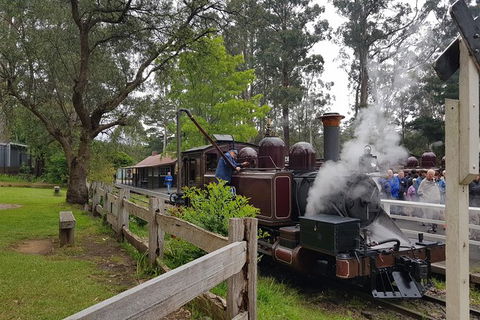 Day Tour Of Yarra Valley Puffing Billy And Rayners Orchard - Rental Cars 14