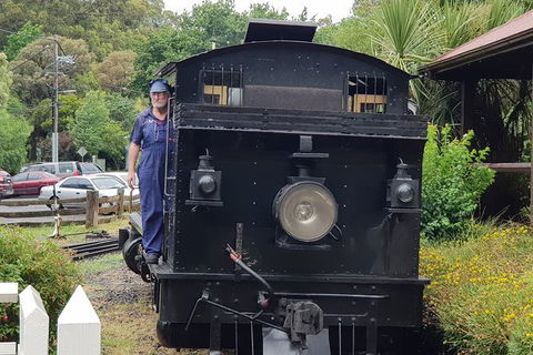 Day Tour Of Yarra Valley Puffing Billy And Rayners Orchard - Rental Cars 11