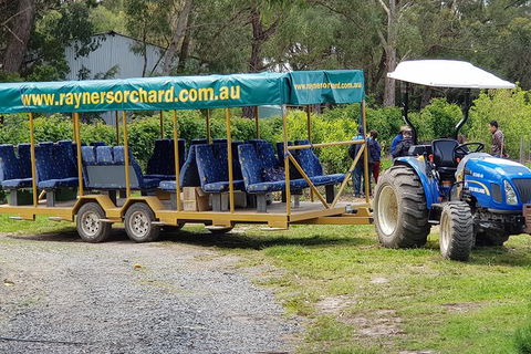 Day Tour Of Yarra Valley Puffing Billy And Rayners Orchard - Rental Cars 48