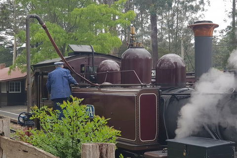 Day Tour Of Yarra Valley Puffing Billy And Rayners Orchard - Rental Cars 5