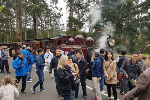 Day Tour Of Yarra Valley Puffing Billy And Rayners Orchard - Rental Cars 18