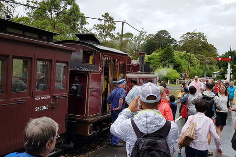 Day Tour Of Yarra Valley Puffing Billy And Rayners Orchard - Rental Cars 23