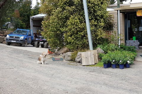 Day Tour Of Yarra Valley Puffing Billy And Rayners Orchard - Rental Cars 6