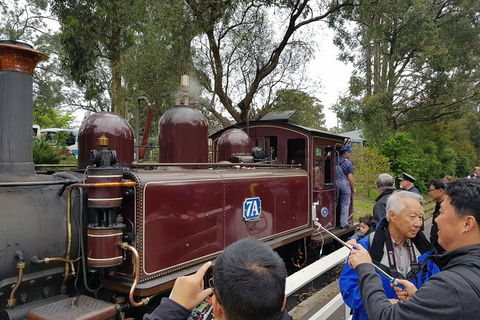 Day Tour Of Yarra Valley Puffing Billy And Rayners Orchard - Rental Cars 28