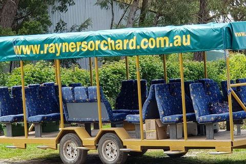 Day Tour Of Yarra Valley Puffing Billy And Rayners Orchard - Rental Cars 33