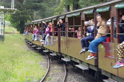 Day Tour Of Yarra Valley Puffing Billy And Rayners Orchard - Rental Cars 13