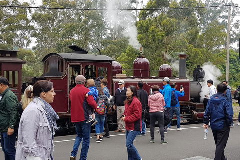 Day Tour Of Yarra Valley Puffing Billy And Rayners Orchard - Rental Cars 4