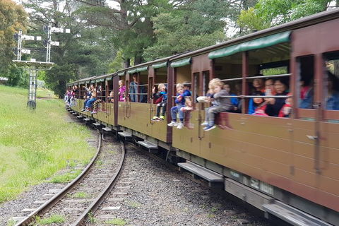 Day Tour Of Yarra Valley Puffing Billy And Rayners Orchard - Rental Cars 24