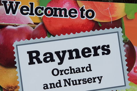 Day Tour Of Yarra Valley Puffing Billy And Rayners Orchard - Rental Cars 20