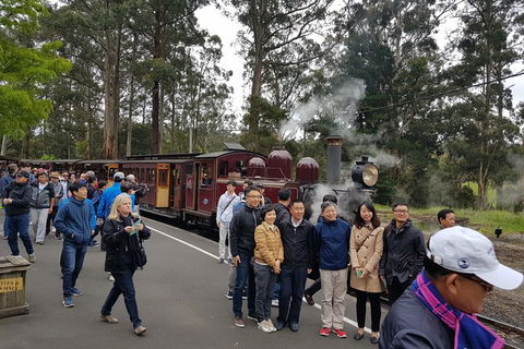Day Tour Of Yarra Valley Puffing Billy And Rayners Orchard - Rental Cars 9