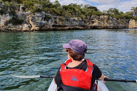 Cliffs And Caves Kayak Tour In Swan River - Rental Cars 1