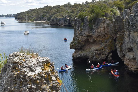Cliffs And Caves Kayak Tour In Swan River - Rental Cars 2