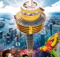 Sydney Tower Eye - Rental Cars
