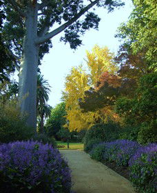 Albury Botanic Garden - Rental Cars 0