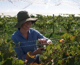 Kingsdale Wines - Rental Cars 0