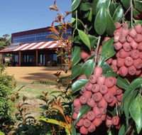 Bushfood Factory and Cafe - Rental Cars