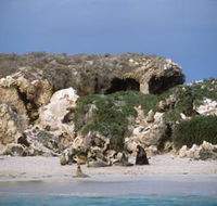 Jurien Bay Marine Park - Rental Cars