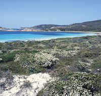 Mississippi Hill and Rossiter Bay - Rental Cars