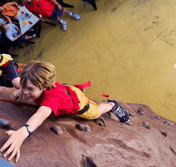 Top Shots Fun Park - Rental Cars 3