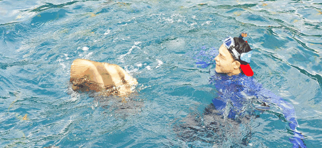 Queensland Yacht Charters - Rental Cars 2