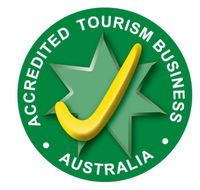 The Space Place Observatory - Rental Cars