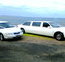 Prestige Limousines And Hire Cars - Rental Cars