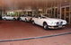 Camden Limousines & Hire Car Service - thumb 0