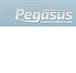Pegasus Chauffeured Cars - Rental Cars