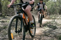 Book Deniliquin Accommodation Vacations Rental Cars Rental Cars