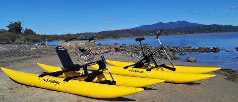 Narooma Mobile Leisure Sport - Rental Cars 0