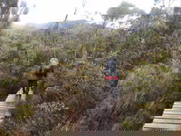 Wild Island Adventure Hire