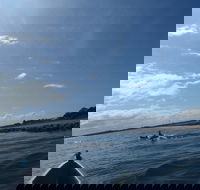 AAA Kayak Tours Iluka - Action Adventure Activities - Rental Cars