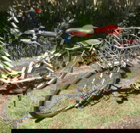 Around Jervis Bay Bike Hire - Rental Cars