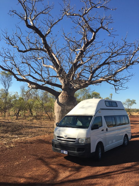 Bonito Camper - Rental Cars 1