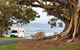 Britz Campervans And 4WD Adelaide - thumb 1