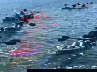 Coffin Bay Boat Water  Bike Hire