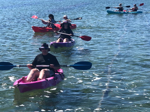 Coffin Bay Boat, Water & Bike Hire - Rental Cars 0