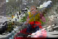 Book Cohuna Accommodation Vacations Rental Cars Rental Cars