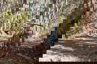 Book Forrest Accommodation Vacations Rental Cars Rental Cars