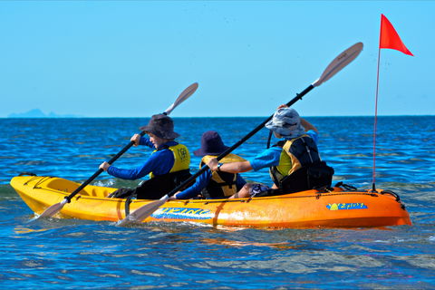 Kayak Central Coast - Rental Cars 1