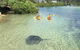 Kayak And Bike Hire - Region X - thumb 0