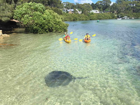 Kayak And Bike Hire - Region X - Rental Cars 0
