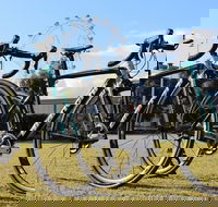 Livelo Performance Road Bike Rentals and Guided Tours - Rental Cars