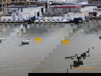 Mandurah Boat and Bike Hire